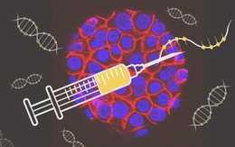 Công nghệ vaccine COVID-19 được sử dụng để điều trị ung thư