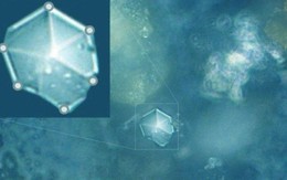 Bí ẩn trong lớp bụi được bỏ lại sau khi thiên thạch nặng 11.000 tấn phát nổ ở Nga