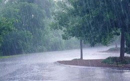 Nước mưa có chứa chất hóa học độc hại, không an toàn để uống