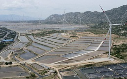 Bộ Công thương đề xuất làm tiếp điện mặt trời, Thanh tra Chính phủ nói đang thanh tra tổng thể