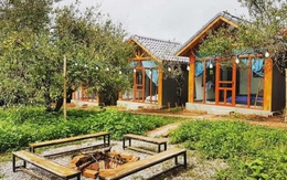 Hậu sốt đất, nhà đầu tư chuyển hướng đổ tiền vào homestay