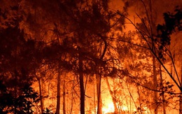 Hạn hán ở Anh, cháy rừng hoành hành tại Pháp trong đợt nắng nóng kéo dài