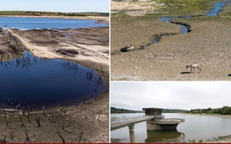 Ảnh hưởng nặng nề bởi hạn hán, mực nước các hồ chứa tại Anh thấp nhất trong 25 năm