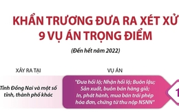 Khẩn trương đưa ra xét xử 9 vụ án trọng điểm