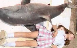 Trung Quốc: Vlogger bị điều tra vì ăn thịt cá mập trắng