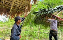 Phụ huynh vùng cao lên rừng chặt tre dựng nhà cho giáo viên mầm non cắm bản