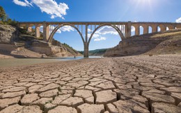 Gần nửa lãnh thổ Liên minh châu Âu thiếu nước do hạn hán