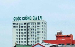 Điều tra trách nhiệm công ty Quốc Cường Gia Lai