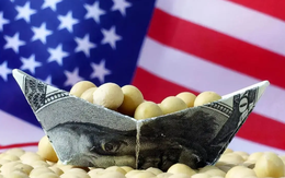 Cách "bốn đại gia lương thực" ABCD của phương Tây kiếm tiền giữa khủng hoảng