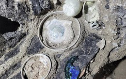 Khám phá về cuộc sống của tầng lớp trung lưu thời La Mã cổ đại