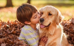 8 lợi ích lớn bất ngờ khi cho trẻ nuôi thú cưng