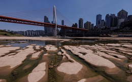 Hạn hán khiến con sông dài thứ 3 thế giới khô cạn: "Đến cát dưới lòng sông còn lộ ra"