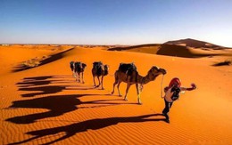 Bên dưới lớp cát dày của sa mạc Sahara ở Châu Phi có gì?