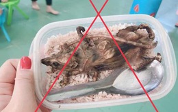 Xác minh thông tin 'học sinh vùng cao phải ăn cơm với thịt chuột'