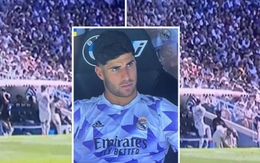 Marco Asensio ném áo, sút thùng nước vì không được vào sân