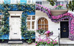 Tản mạn khắp London, nhiếp ảnh gia chụp bộ ảnh với những cánh cửa thơ mộng như lạc vào thế giới cổ tích