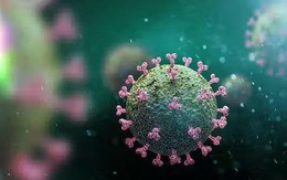 Anh, Mỹ cảnh báo biến chủng COVID-19 lạ BA.4.6 lan nhanh