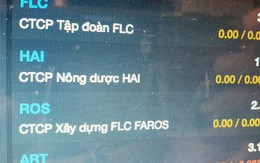 Nhà đầu tư lại đau tim khi có thêm 3 cổ phiếu họ FLC vào diện cảnh báo