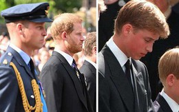 William và Harry với lần tái hợp đầy âm vang ám ảnh của quá khứ