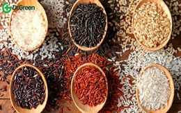 Chọn ăn loại gạo nào tốt nhất cho sức khỏe?