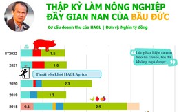 Thập kỷ làm nông nghiệp gian nan của bầu Đức: Xoay chuyển không ngừng, sau chuối - heo sẽ là gì?