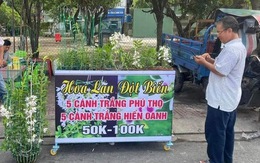 Lan đột biến rớt khốc liệt từ tiền tỉ xuống vài chục ngàn vẫn không ai mua