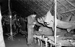 Bệnh sốt rét - Nỗi ám ảnh của quân đội Mỹ thời Thế chiến II
