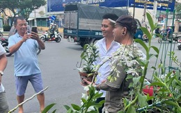 Lan đột biến và những trò thao túng thần sầu trong bóng tối