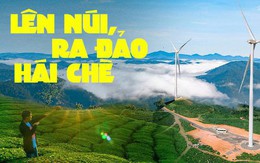 Những đồi chè xanh ngát có cảnh đẹp như phim ở khắp Việt Nam