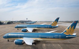 Hình ảnh Bông Sen Vàng của Vietnam Airlines xuất hiện khi nào?