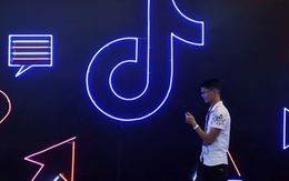 Chứa nhiều nội dung độc hại, TikTok phải xoá 113 triệu video