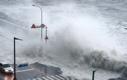 Siêu bão Hinnamnor quần thảo Hàn Quốc