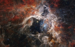 Kính viễn vọng James Webb tiết lộ hình ảnh chưa từng thấy của Tinh vân Tarantula