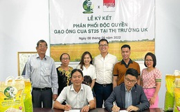 Sau Úc, gạo Ông Cua ST25 chính thức vào thị trường Anh