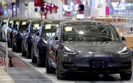 Tesla sắp xây nhà máy mới tại 1 quốc gia Đông Nam Á, dự tính cho ra lò 1 triệu xe điện mỗi năm?