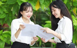 Ngành nghề ở Việt Nam lương lên đến 300 triệu/tháng có nhẹ nhàng "như lời đồn": Đây là tiết lộ của người trong cuộc