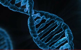 Anh dự kiến mở rộng giải trình tự gen từ COVID-19 sang bệnh cúm