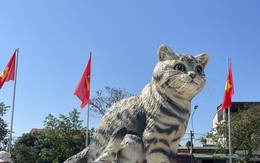 Chủ nhân linh vật mèo nhận mưa lời khen ở Quảng Trị lên tiếng