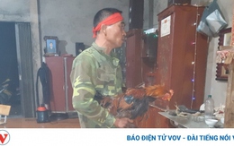 Lễ cướp vía cầu sức khỏe của đồng bào Dao Đỏ Lào Cai