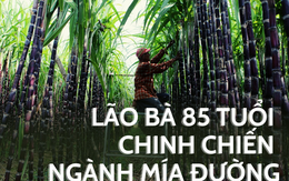 Lão bà Kỷ Mão lớn tuổi nhất sàn chứng Việt: DN cán đích lợi nhuận ngay quý đầu niên độ, trả cổ tức cả trăm tỷ, EPS top đầu, cổ phiếu trụ vững trong CLB "giá 3 chữ số"