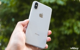 Từng khởi đầu xu hướng smartphone mới, mẫu iPhone này giờ không ai muốn mua