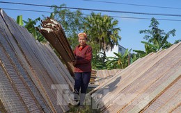 Tất bật ngày đêm làm bánh đa nem vụ Tết, kiếm tiền triệu mỗi ngày