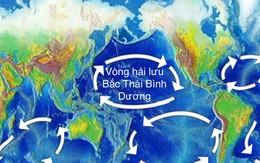 Hệ thống dự đoán các dòng hải lưu lớn