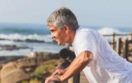 Công dụng của hàu đối với sức khỏe nam giới