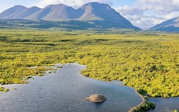 Vùng lãnh nguyên Alaska bị tàn phá như thể cháy rừng, nguyên nhân hóa ra lại từ một loài gặm nhấm