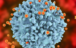 Ghi nhận hơn 500 biến thể SARS-CoV-2, Bộ Y tế  khuyến cáo phòng COVID-19