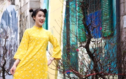 Phố bích họa Phùng Hưng "thay áo mới", thiếu nữ Hà Nội diện đồ Tết xúng xính chụp ảnh