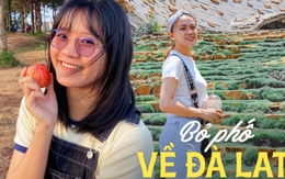 Bỏ phố về Đà Lạt: Từng làm ngân hàng 7 năm cũng không tìm được việc, lương thấp nhưng chi phí sinh hoạt không hề rẻ