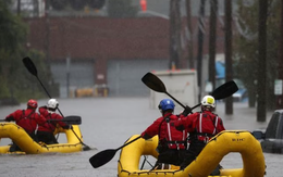 Mưa lớn gây lũ lụt ở New York sẽ là điều "bình thường mới” do biến đổi khí hậu