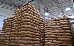 Mặt hàng này của Việt Nam được lòng những thị trường khó tính hàng đầu thế giới, xuất khẩu tăng đột biến 3 chữ số ở nhiều quốc gia dù giá không hề rẻ